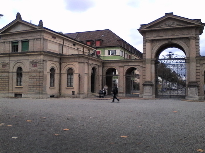 IMG_20201011_161253.jpg