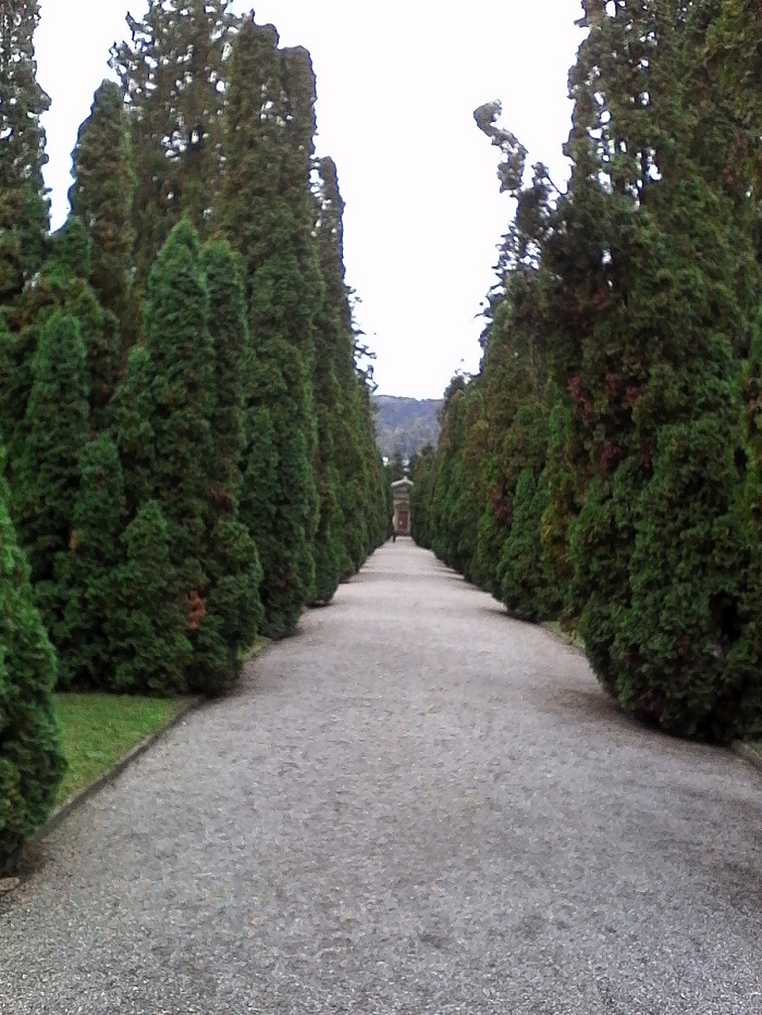 IMG_20201011_161338.jpg