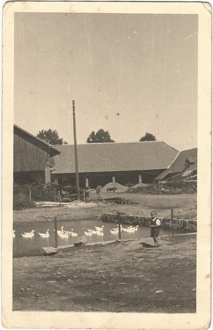 hegrovi_3.jpg