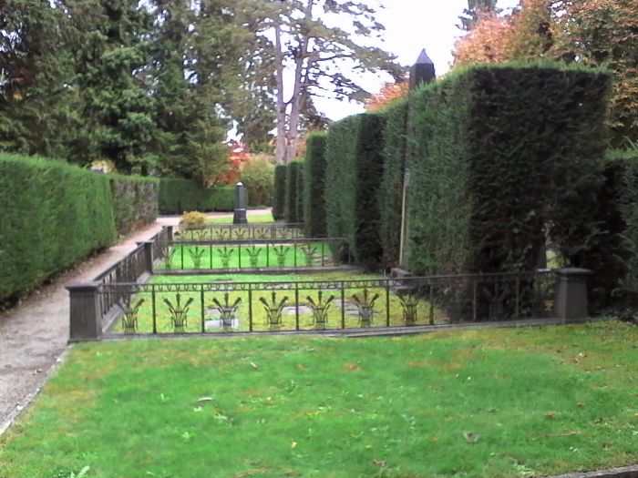 IMG_20201011_161606.jpg