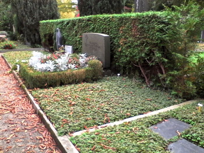 IMG_20201011_161651.jpg