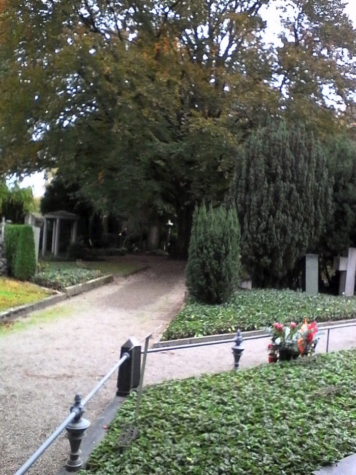 IMG_20201011_161718.jpg