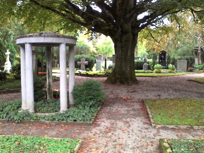 IMG_20201011_161909.jpg