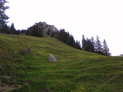 IMG_20210612_145616.jpg