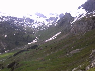 IMG_20210612_161111.jpg