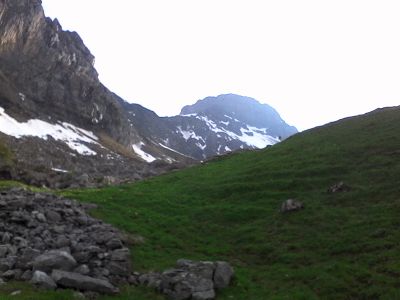 IMG_20210612_190354.jpg