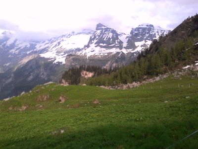 IMG_20210612_190412.jpg