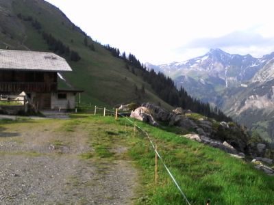 IMG_20210612_190700.jpg