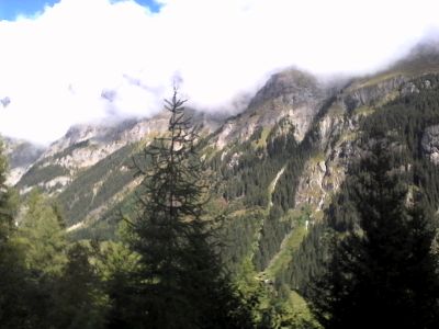 IMG_20210917_121840.jpg