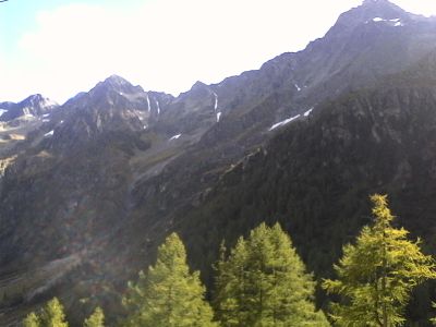 IMG_20210917_123218.jpg
