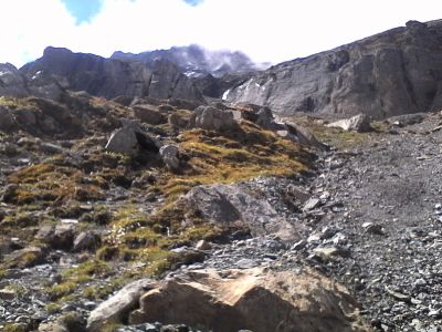 IMG_20210917_132217.jpg