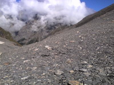 IMG_20210917_133554.jpg