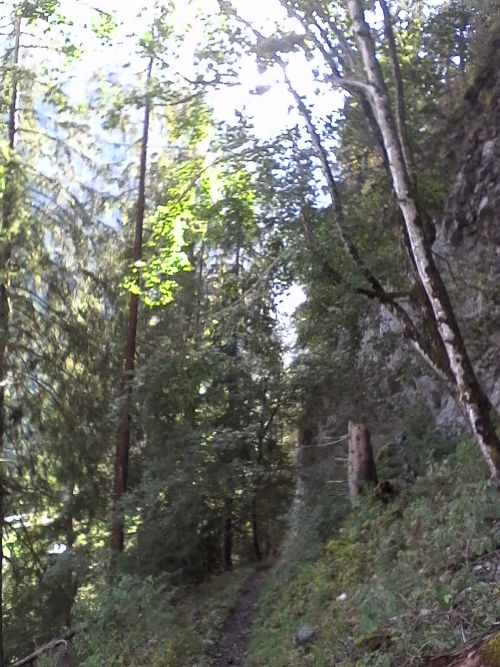 IMG_20210921_142402.jpg
