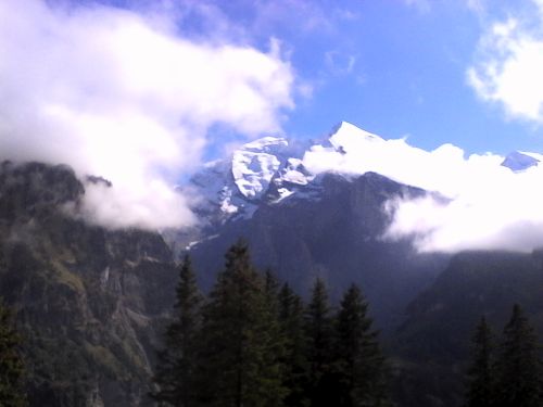 IMG_20210921_145428.jpg