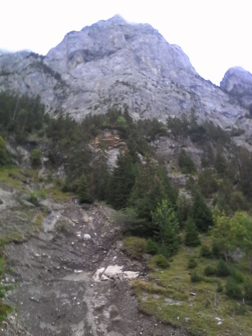 IMG_20210921_174652.jpg