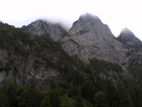 IMG_20210921_175330.jpg