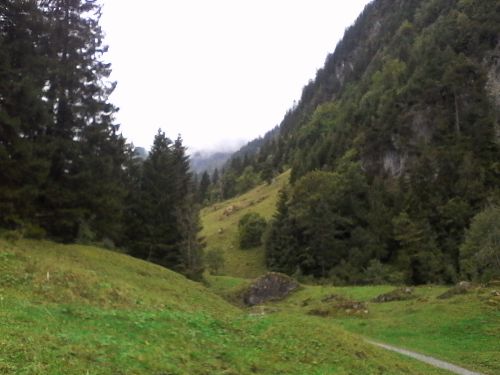 IMG_20210921_175358.jpg