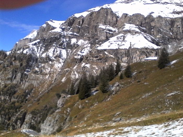 IMG_20201013_124355.jpg