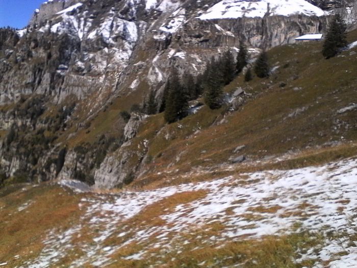 IMG_20201013_124401.jpg
