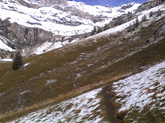 IMG_20201013_124406.jpg