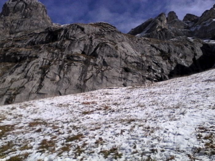 IMG_20201013_124428.jpg