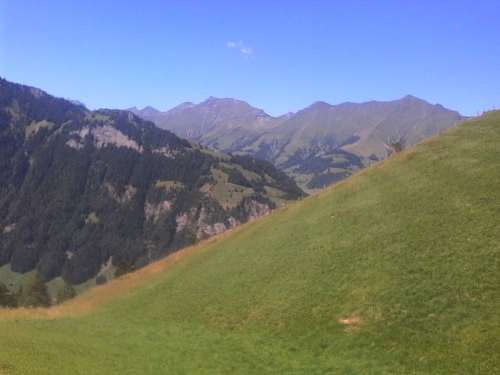 IMG_20220813_123228.jpg