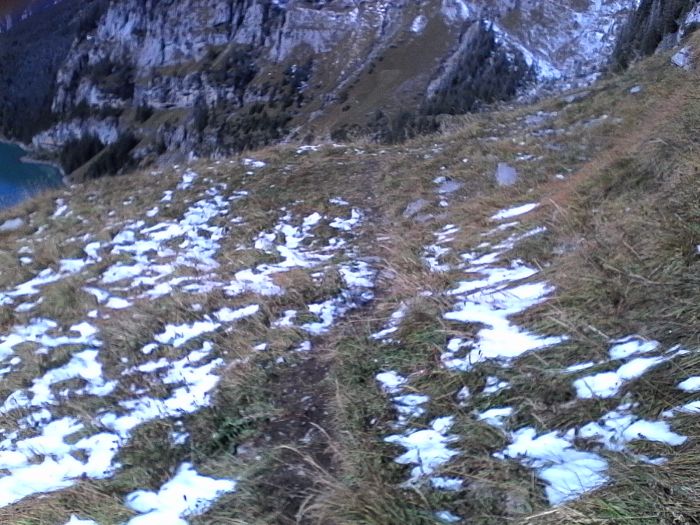 IMG_20201013_125303.jpg
