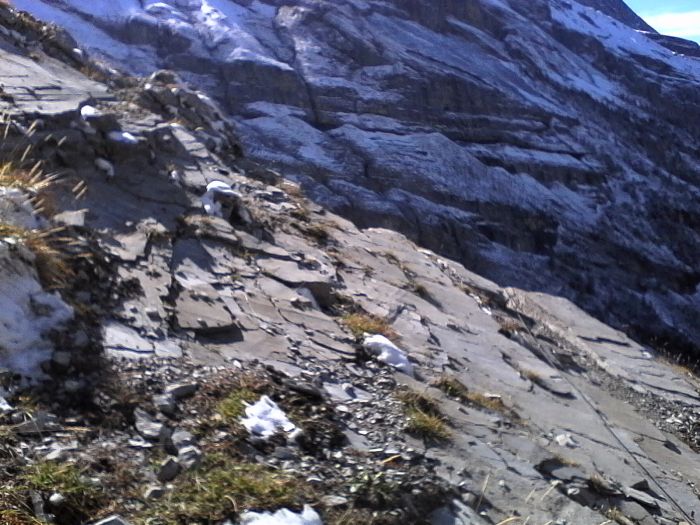 IMG_20201013_131236.jpg