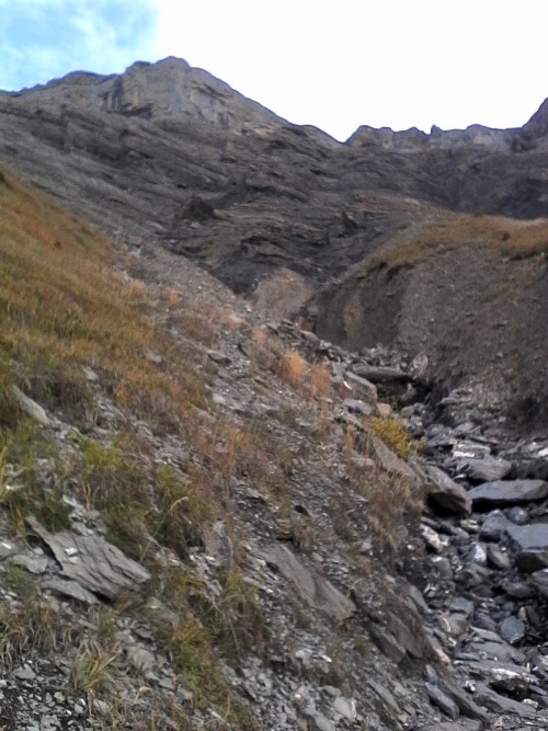 IMG_20221023_111016.jpg