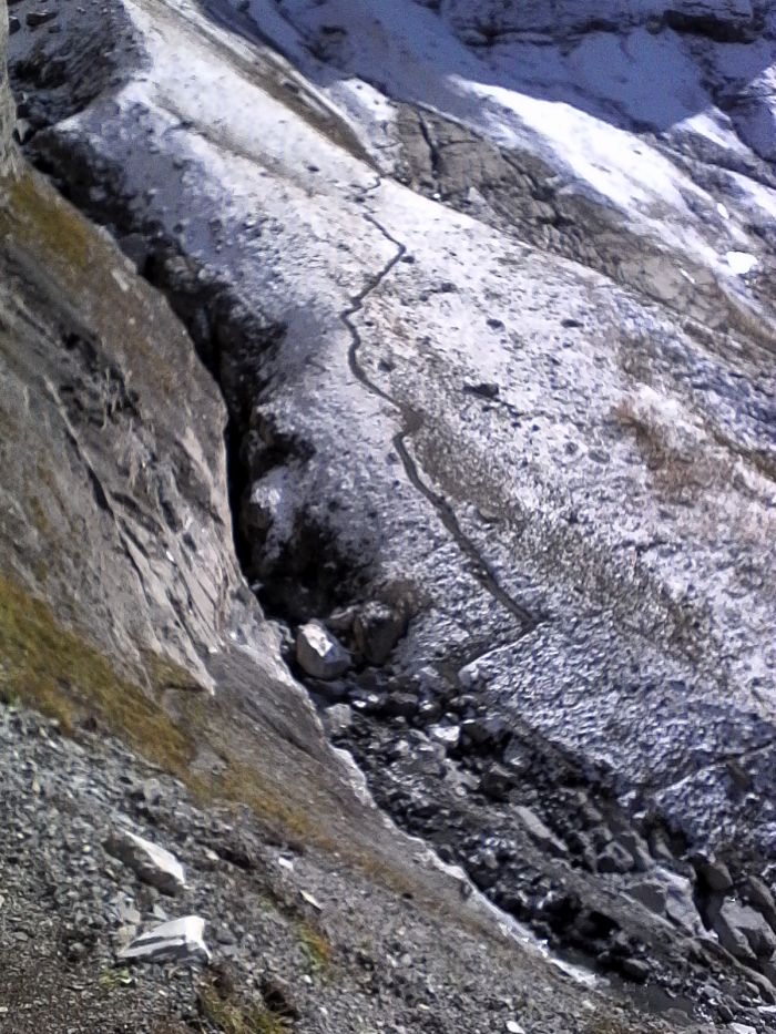 IMG_20201013_132256.jpg
