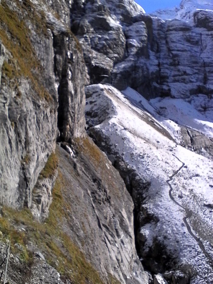 IMG_20201013_132307.jpg