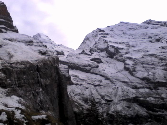 IMG_20201013_141700.jpg