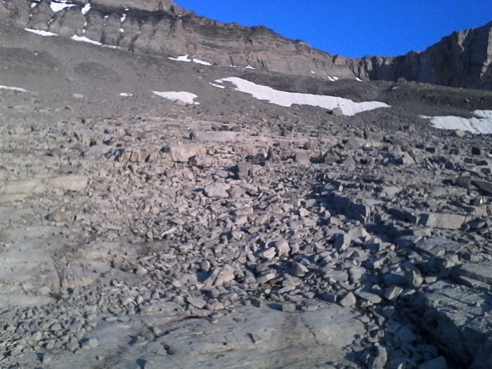 IMG_20230708_204249.jpg