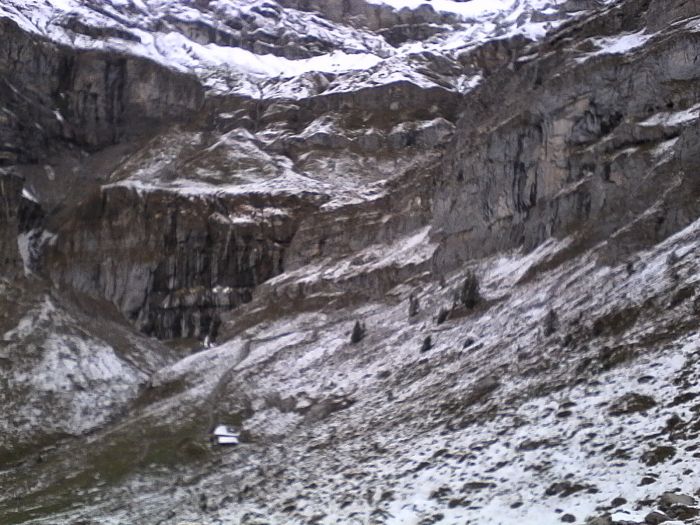 IMG_20201013_142209.jpg