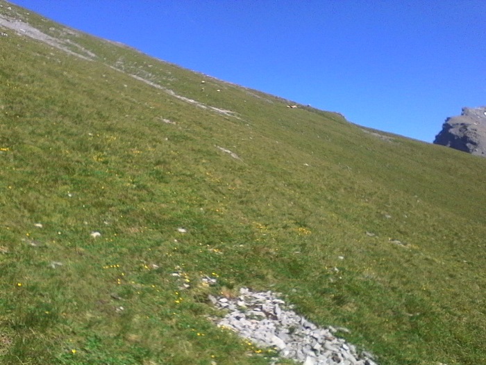 IMG_20230714_172620.jpg