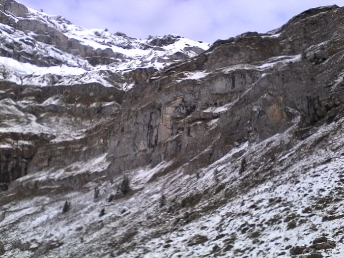 IMG_20201013_142218.jpg