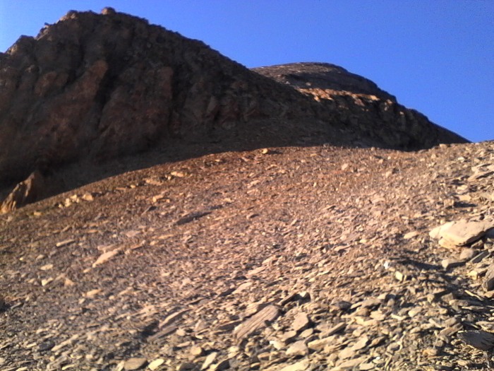 IMG_20230714_203230.jpg