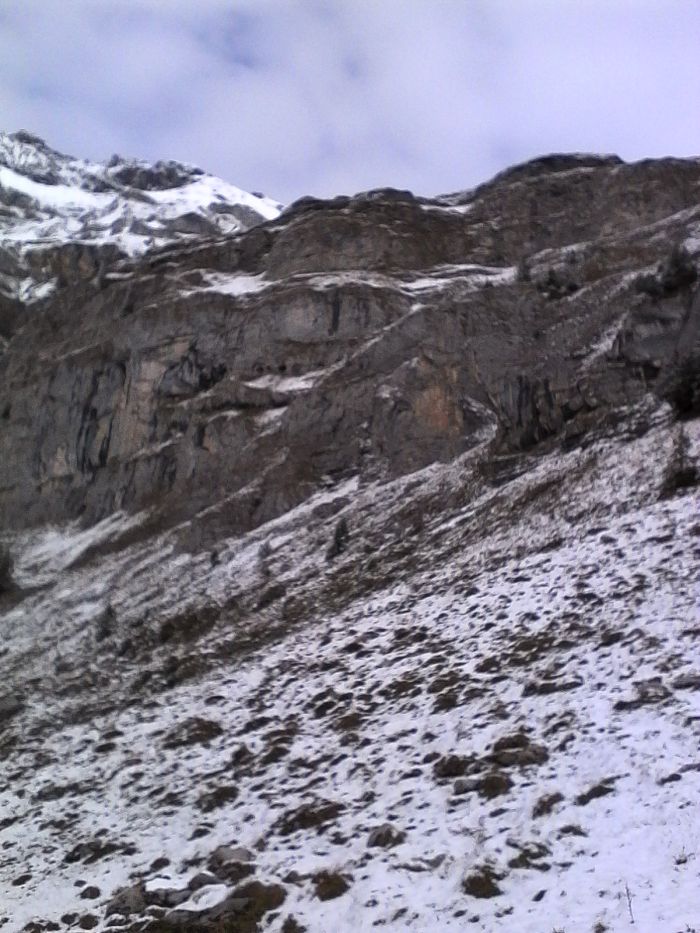 IMG_20201013_142232.jpg