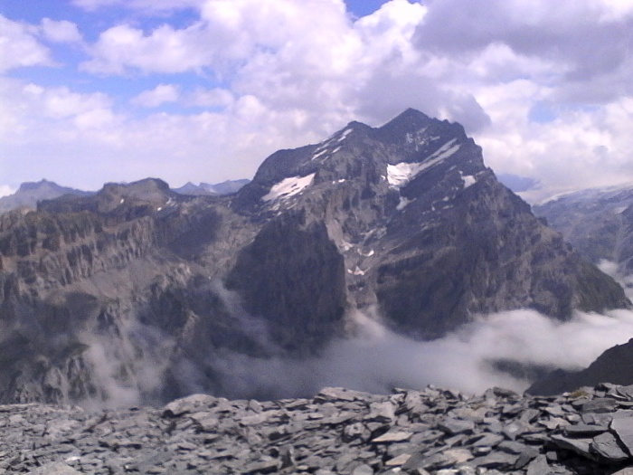 IMG_20230716_114751.jpg