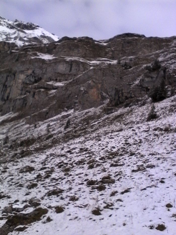 IMG_20201013_142245.jpg