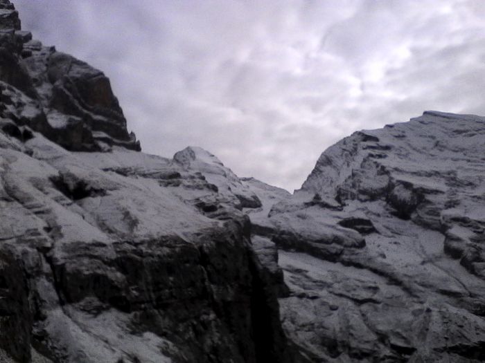 IMG_20201013_142304.jpg