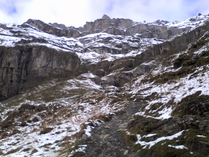 IMG_20201013_144253.jpg