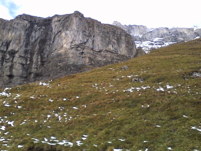 IMG_20201013_145958.jpg