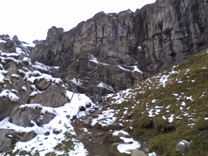IMG_20201013_150006.jpg
