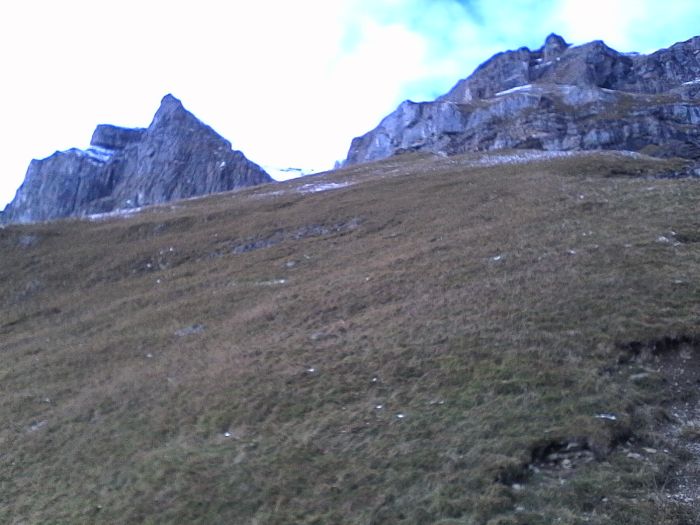 IMG_20201013_152434.jpg