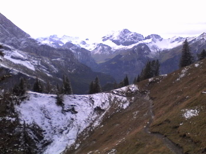 IMG_20201013_152515.jpg