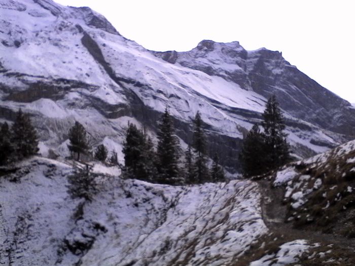 IMG_20201013_152739.jpg