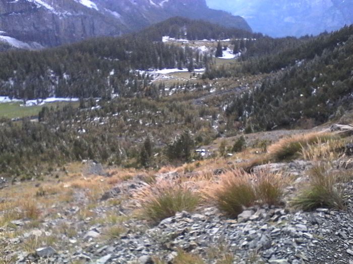 IMG_20201013_154812.jpg