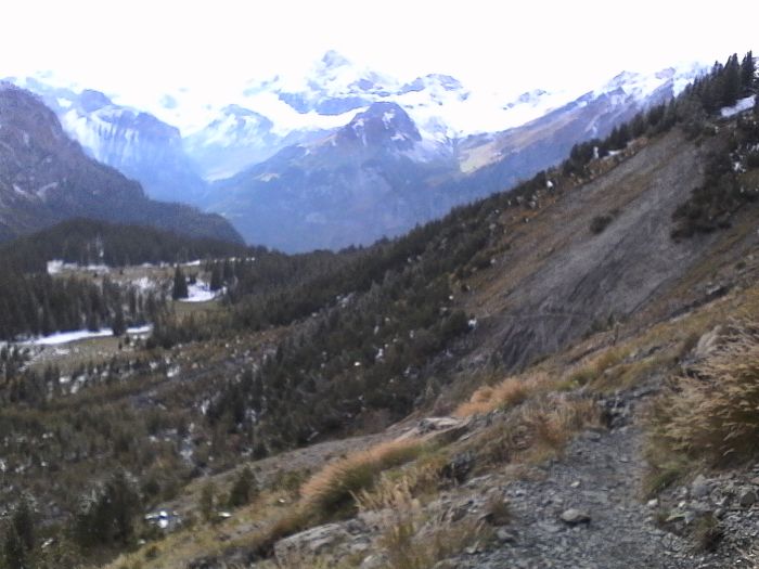IMG_20201013_154820.jpg