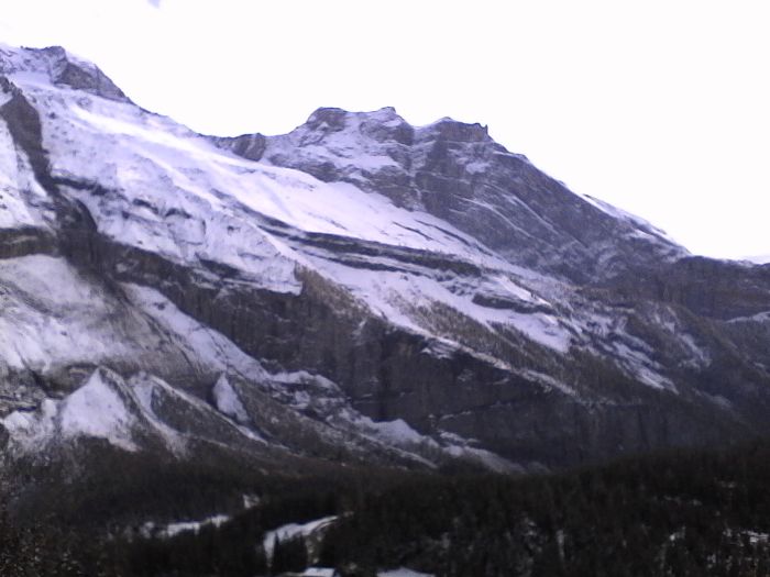 IMG_20201013_155348.jpg